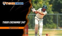 Tiger Exchange 247