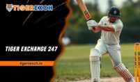 Tiger Exchange 247