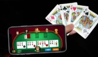 Teen Patti Land