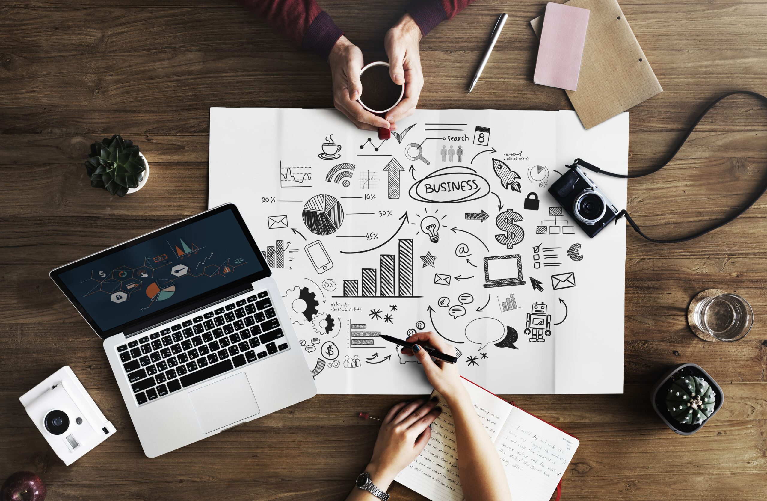 Best SEO Service Agency