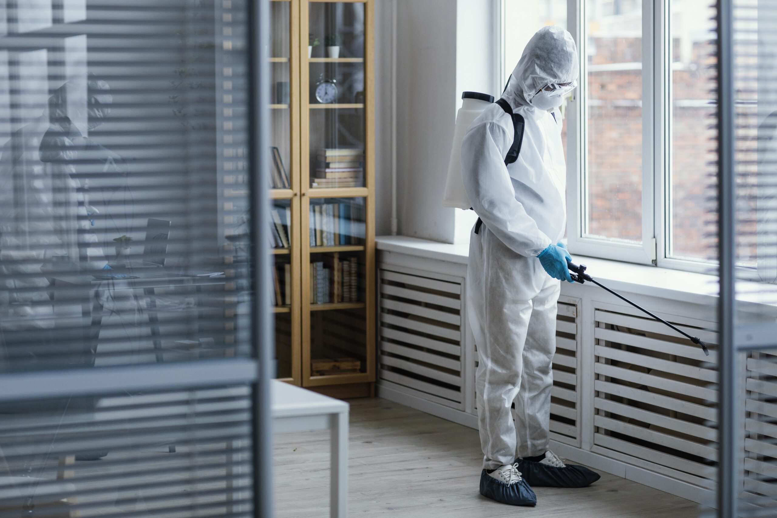 Eco-friendly pest control services for businesses in South Lanarkshire