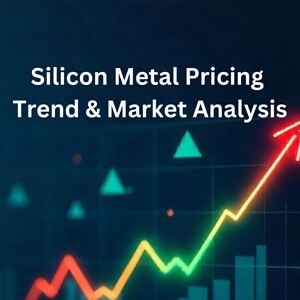 silicon metal pricing analysis