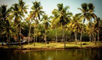 kerala houseboat tours