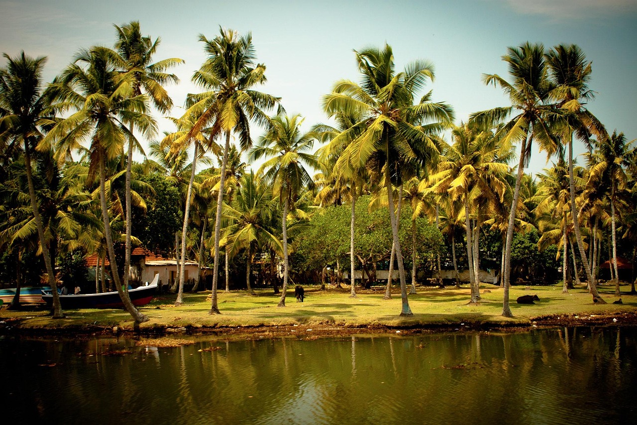 kerala houseboat tours