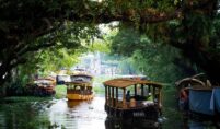 7 days kerala private tours